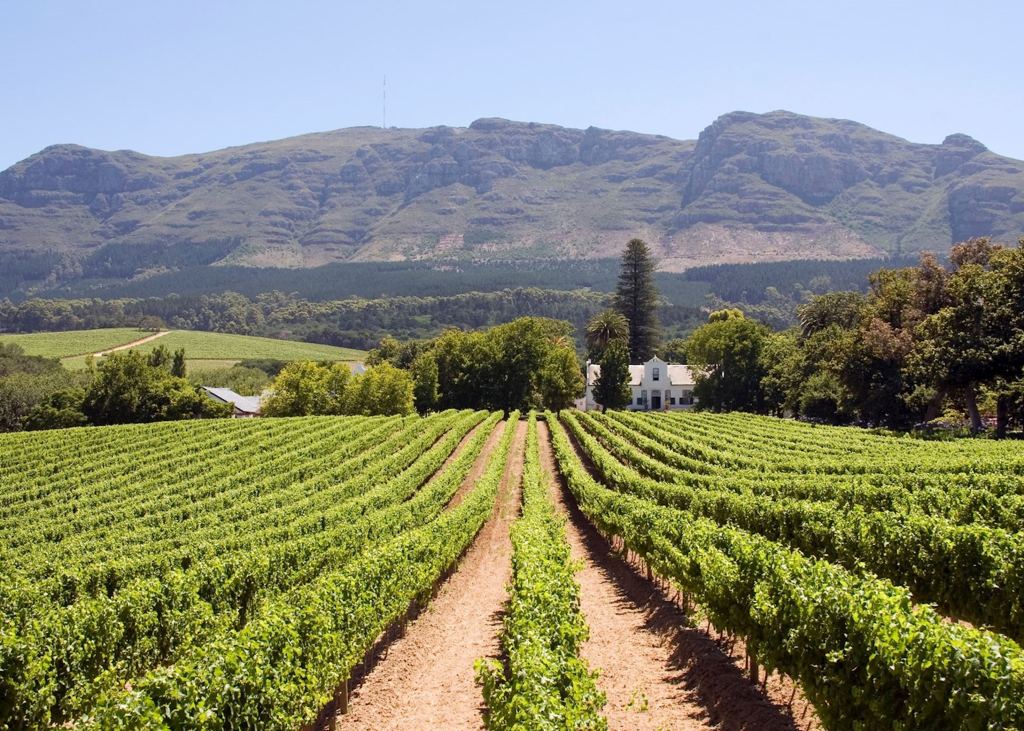 Planning a Perfect Cape Winelands&nbsp;Excursion